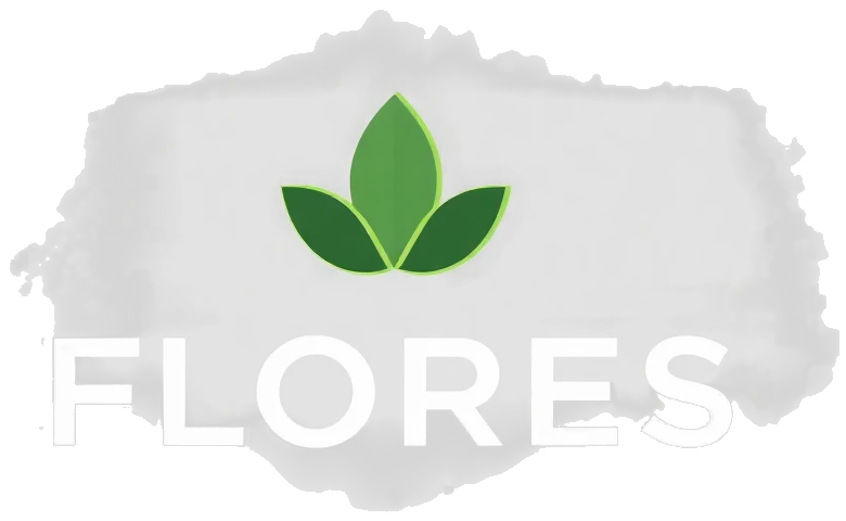 FLORESsetmaxclikma logo